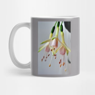 White Fuchsia Hawkshead Summer Flower Mug